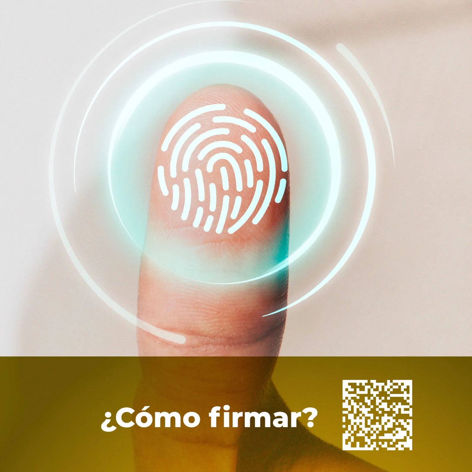 Cómo firmar documentos PDF en Ecuador paso a paso (Guía 2026)