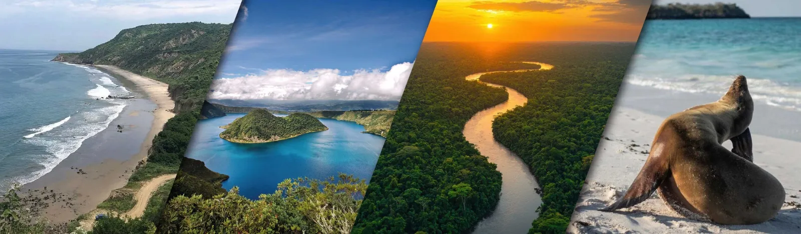 Firma electrónica Ecuador - Todo Ecuador